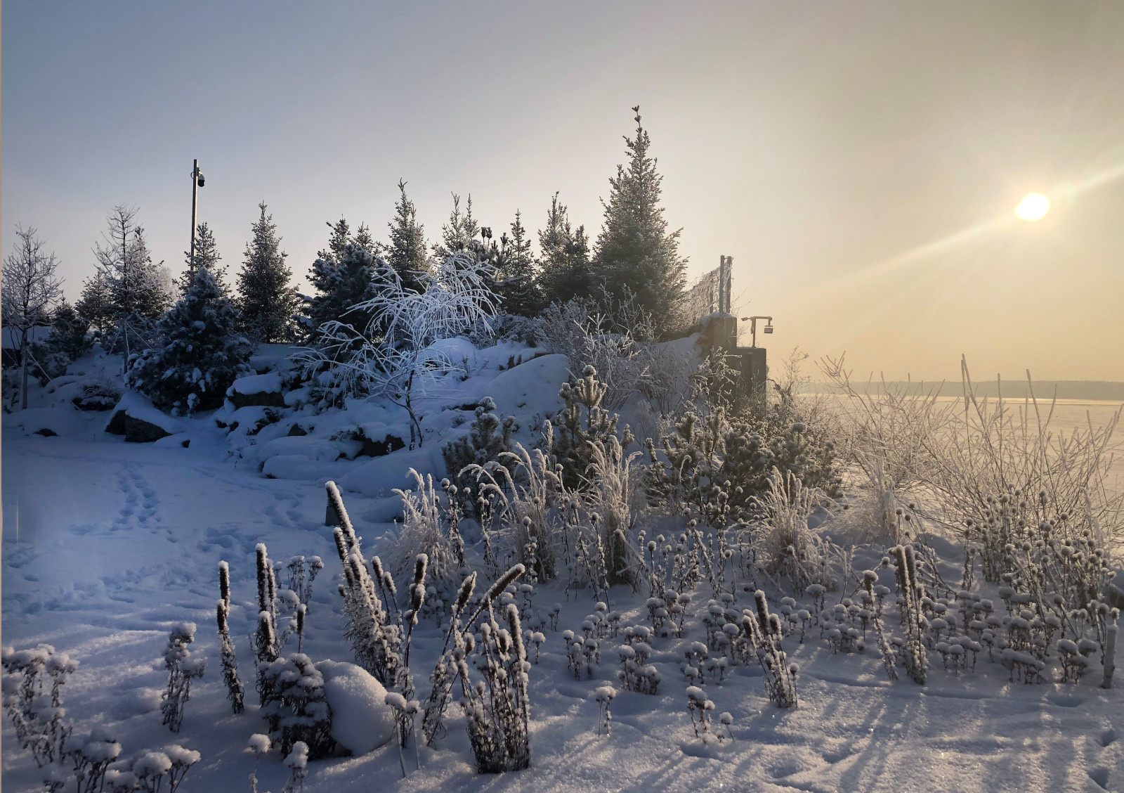 Сад Кроличья нора. Зима