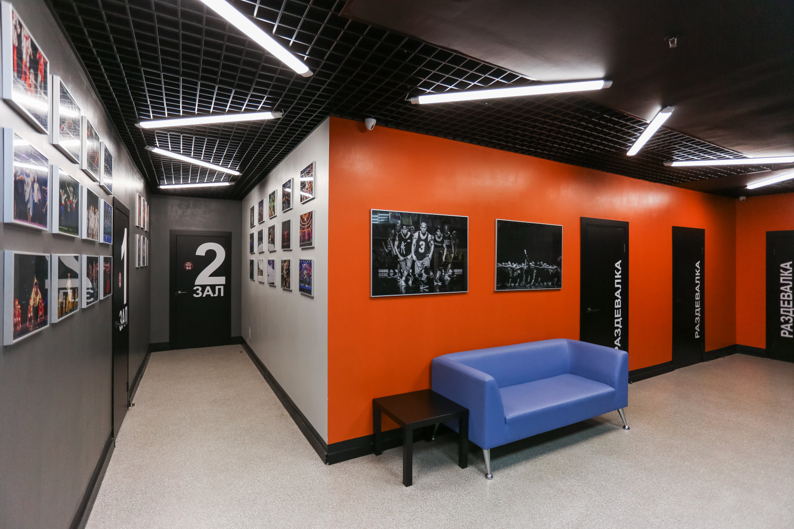 Проект танцевальной студии Todes