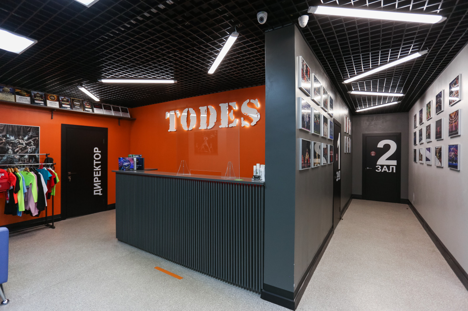 Проект танцевальной студии Todes