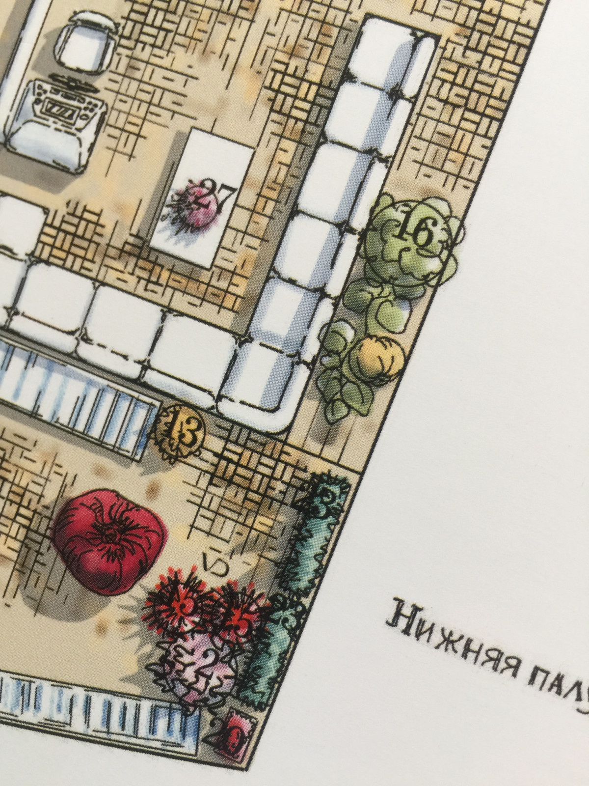 Книга " Поцелуй меня через забор"