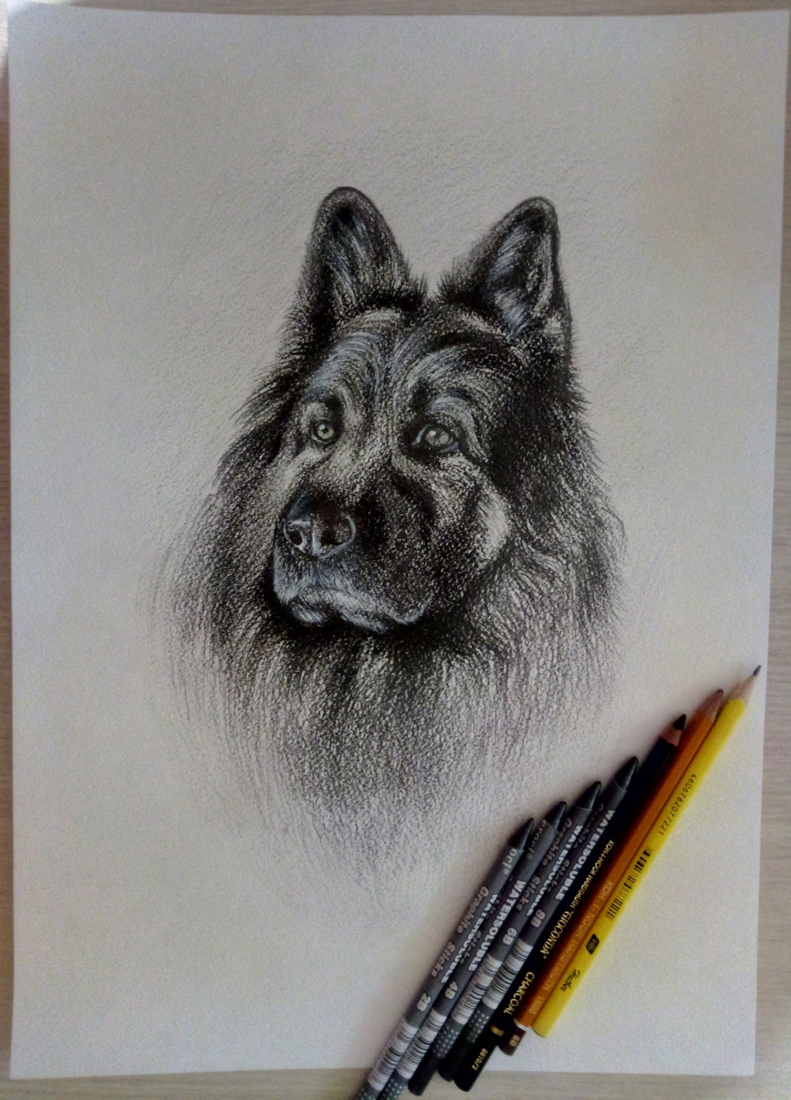 Картины