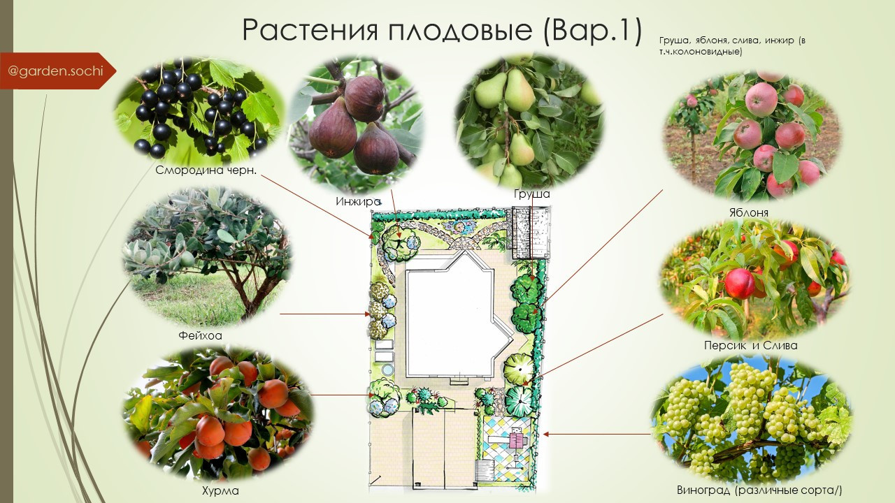 "Семейное гнездо"