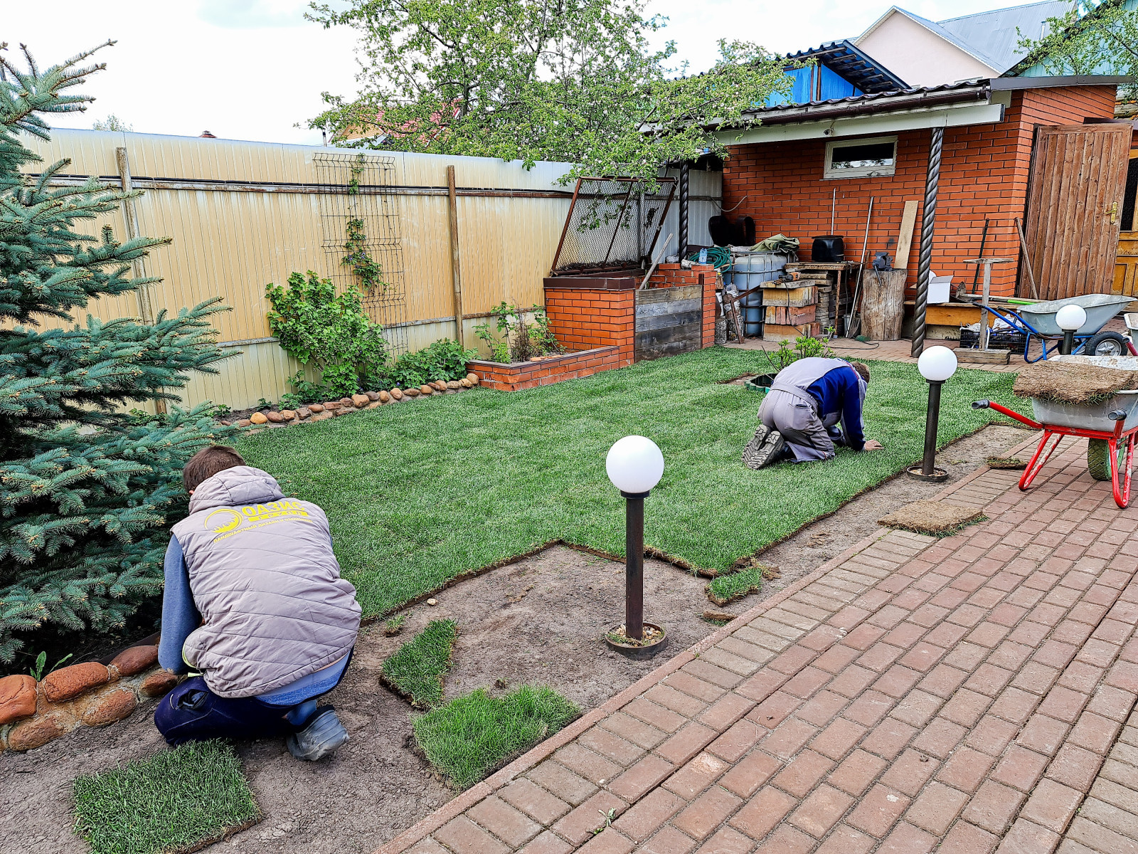 рулонный газон