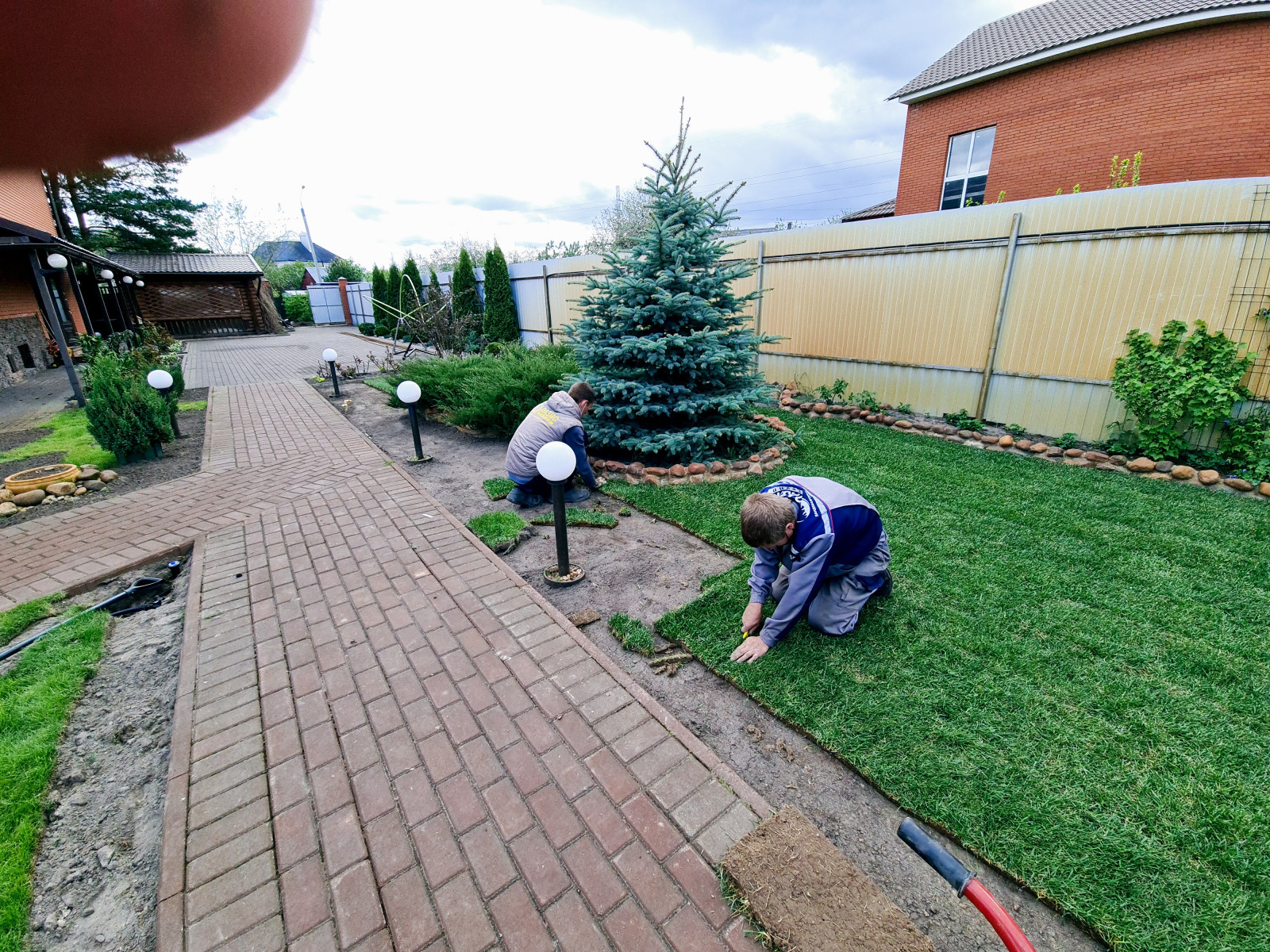 рулонный газон