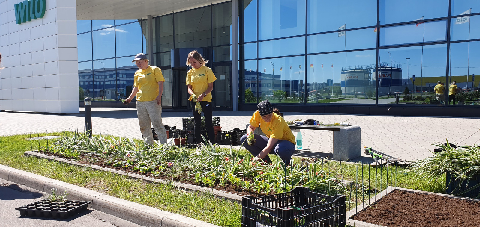 Посадка растений, озеленение