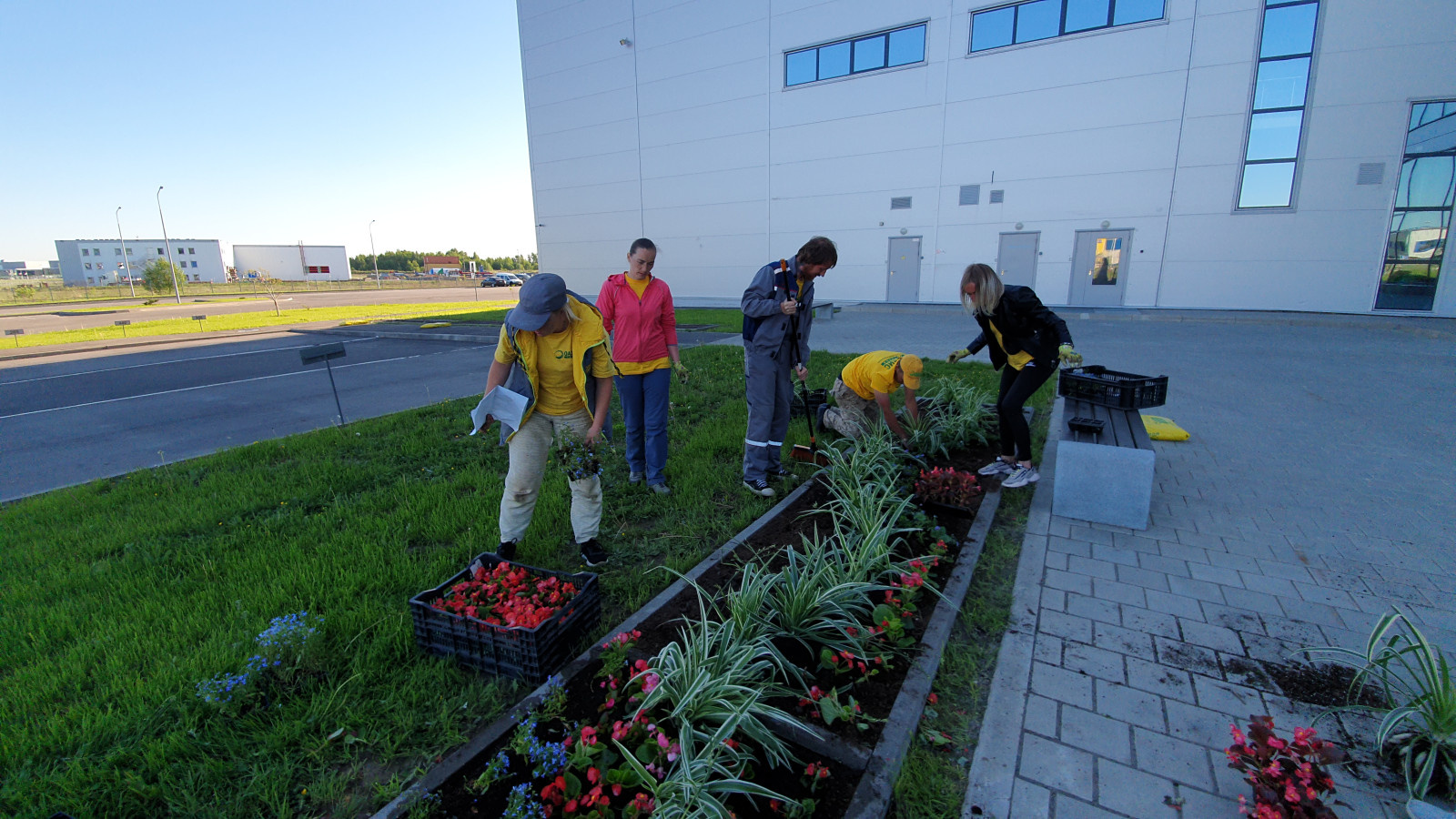 Посадка растений, озеленение