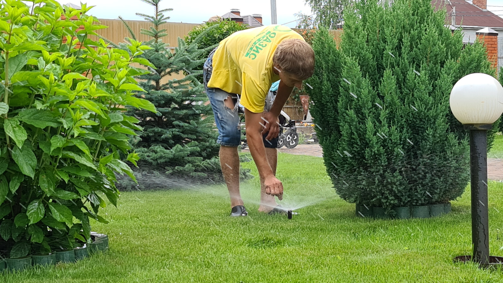 Автоматический полив