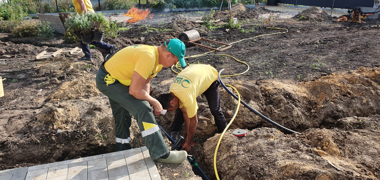 Автоматический полив