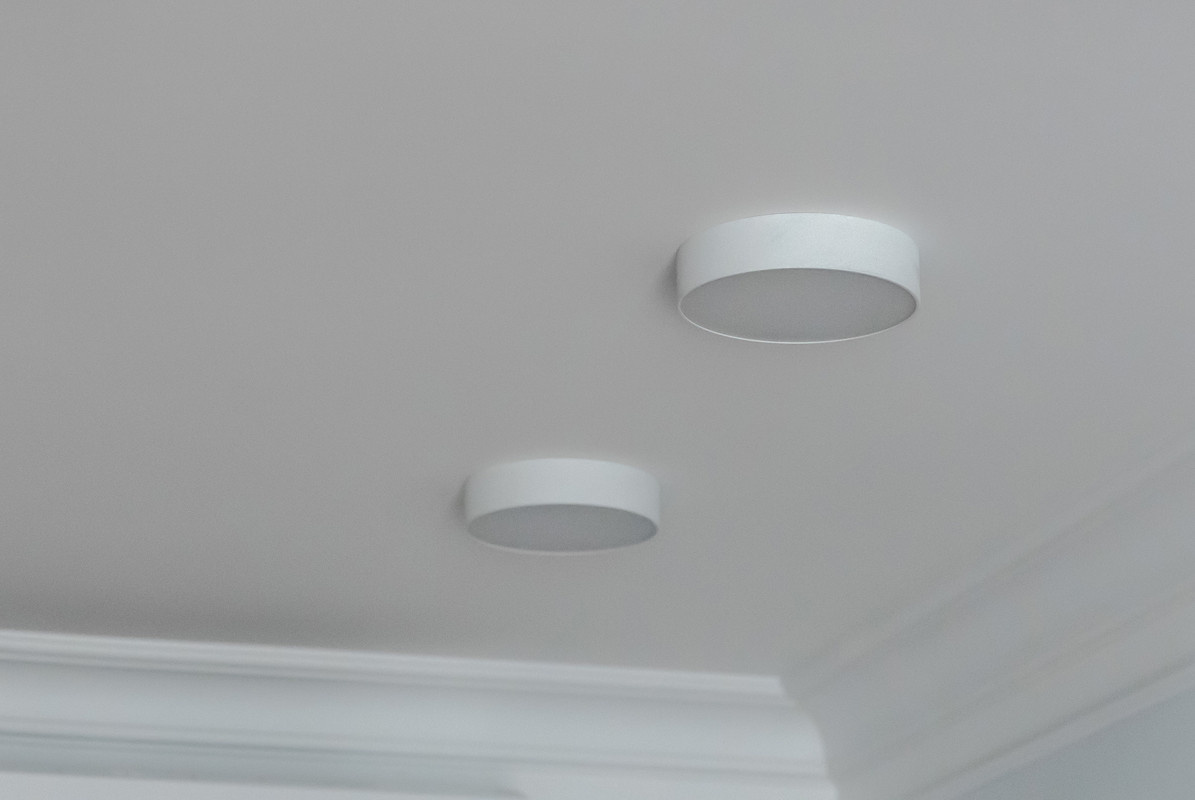 Гостиная с леопардом в зарослях борщевика