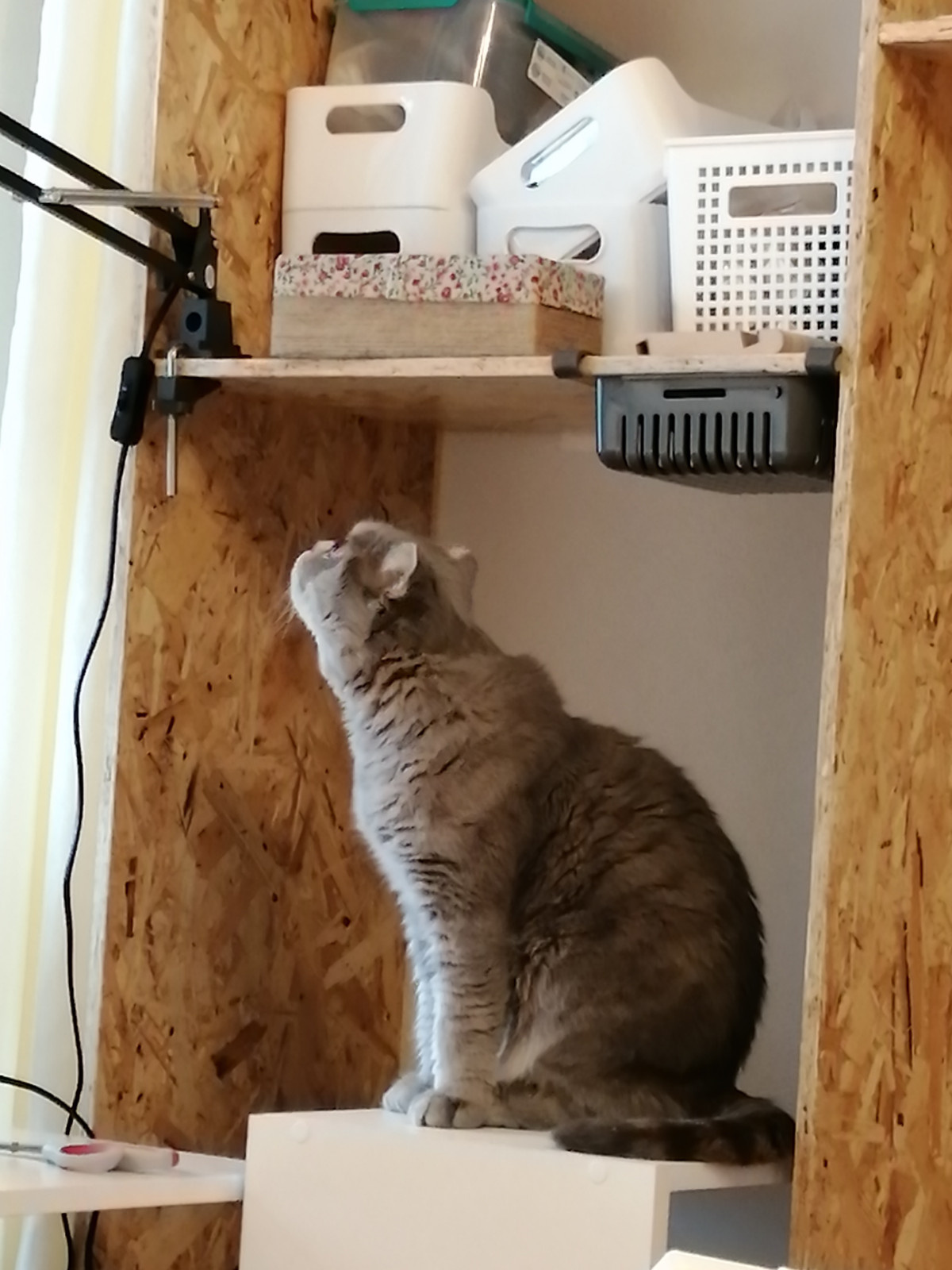 Стеллаж- рабочее место швеи