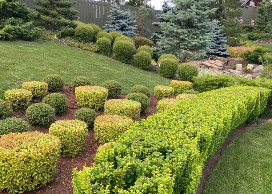 Лен. область , Курортный район