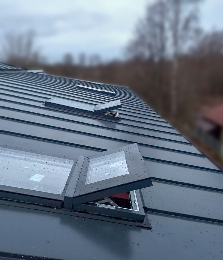 Мансардные окна