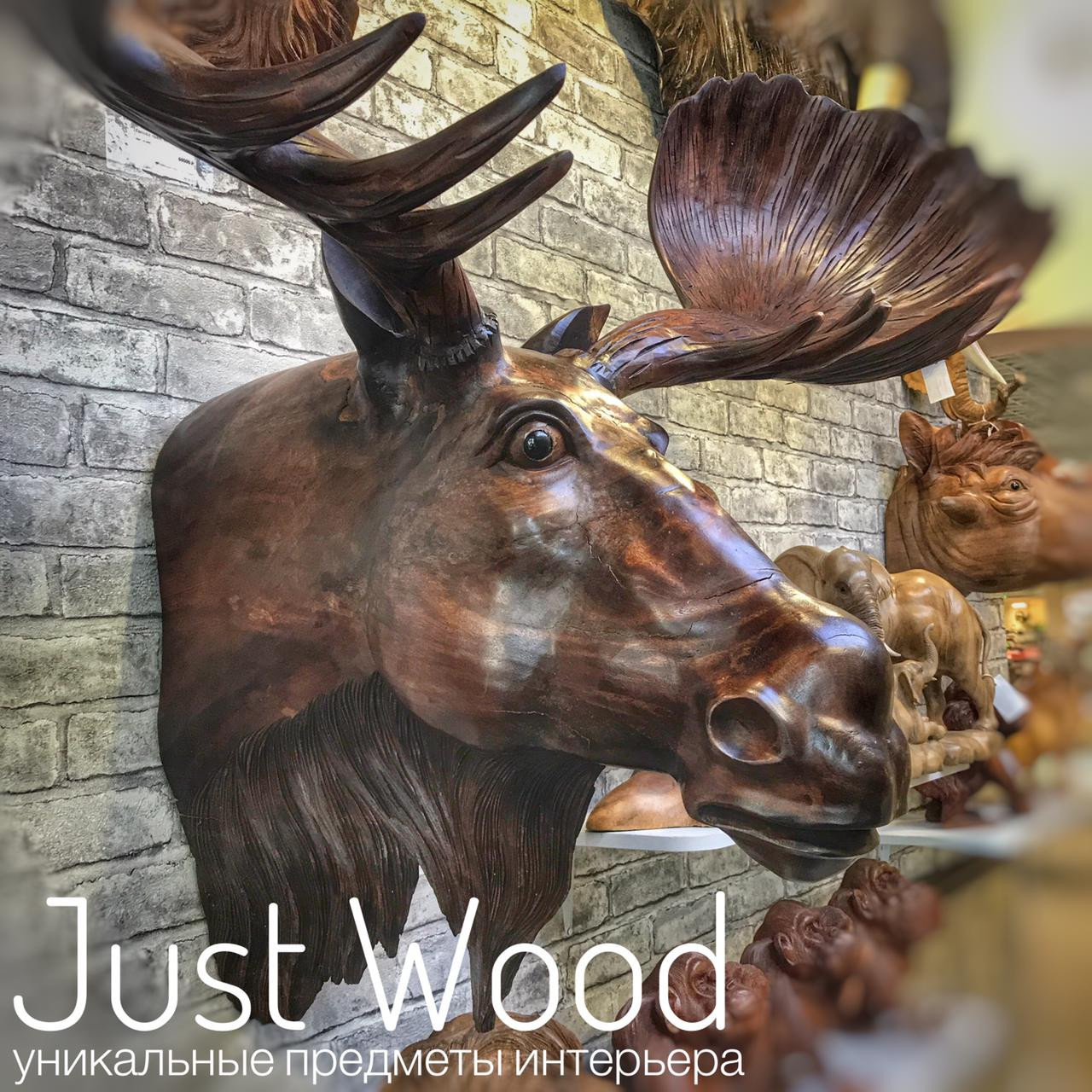 Обложка проекта: Голова лося на стену