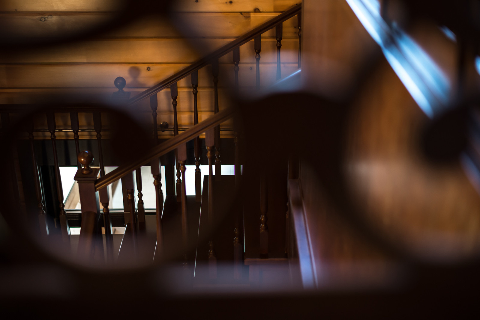 Дом из кедра