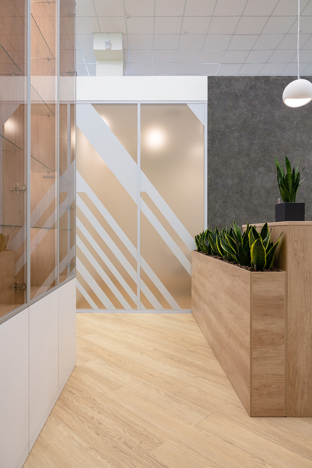 Офис компании Saber Interactiv