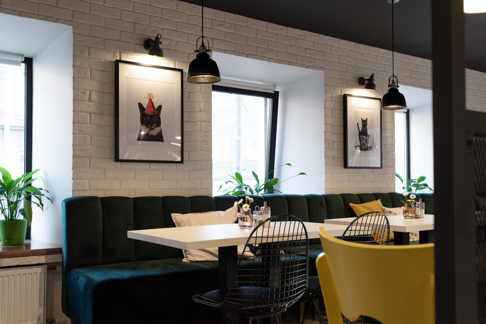 Кафе "Пирожки у кота"