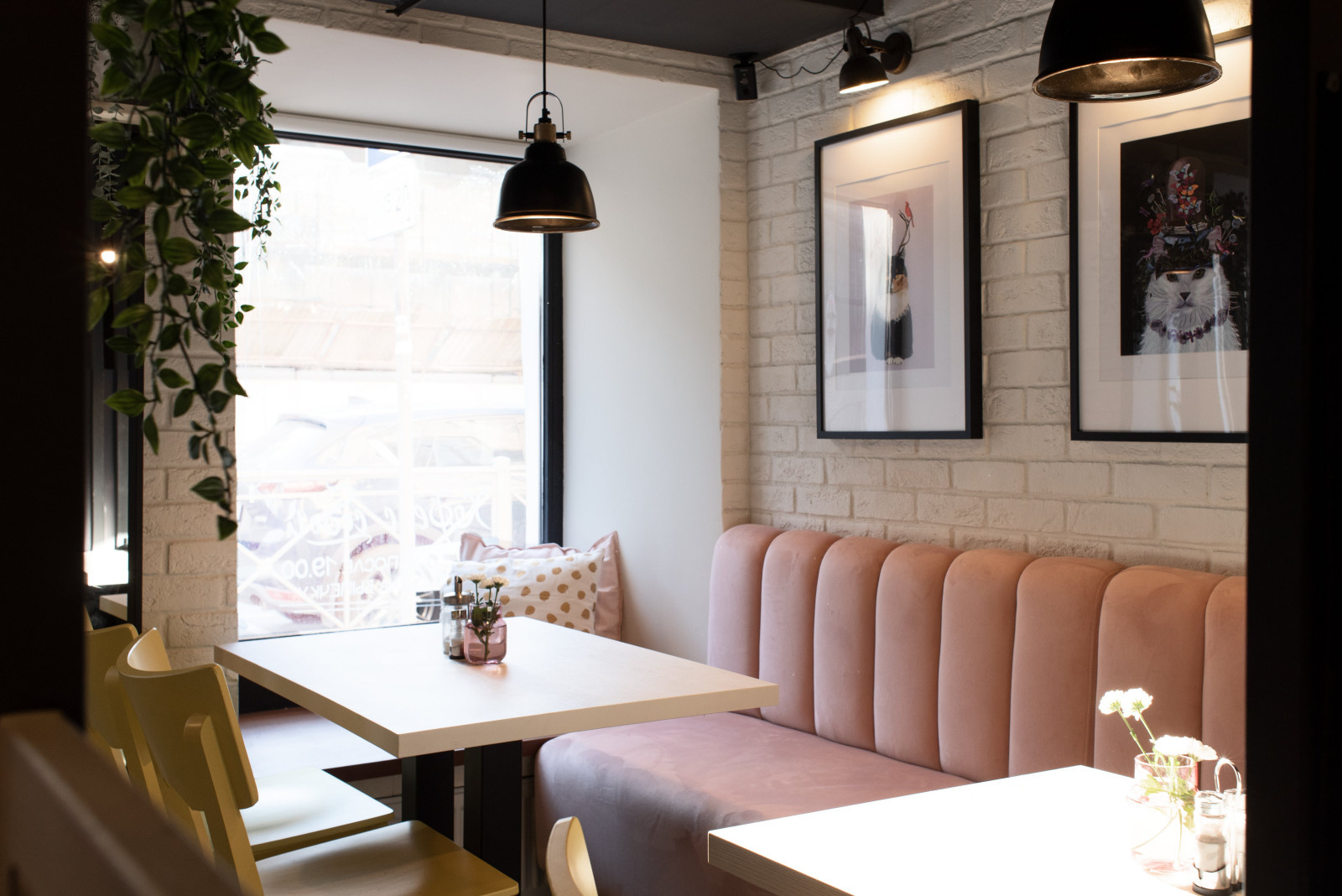 Кафе "Пирожки у кота"