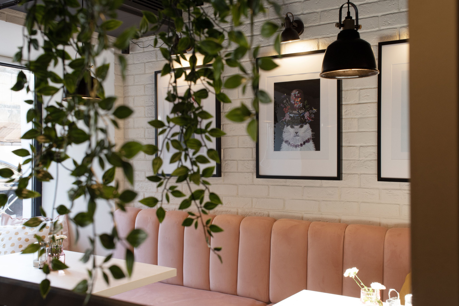 Кафе "Пирожки у кота"