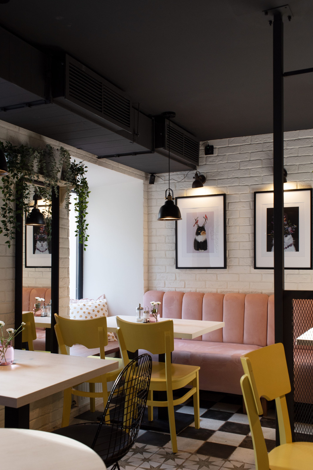 Кафе "Пирожки у кота"