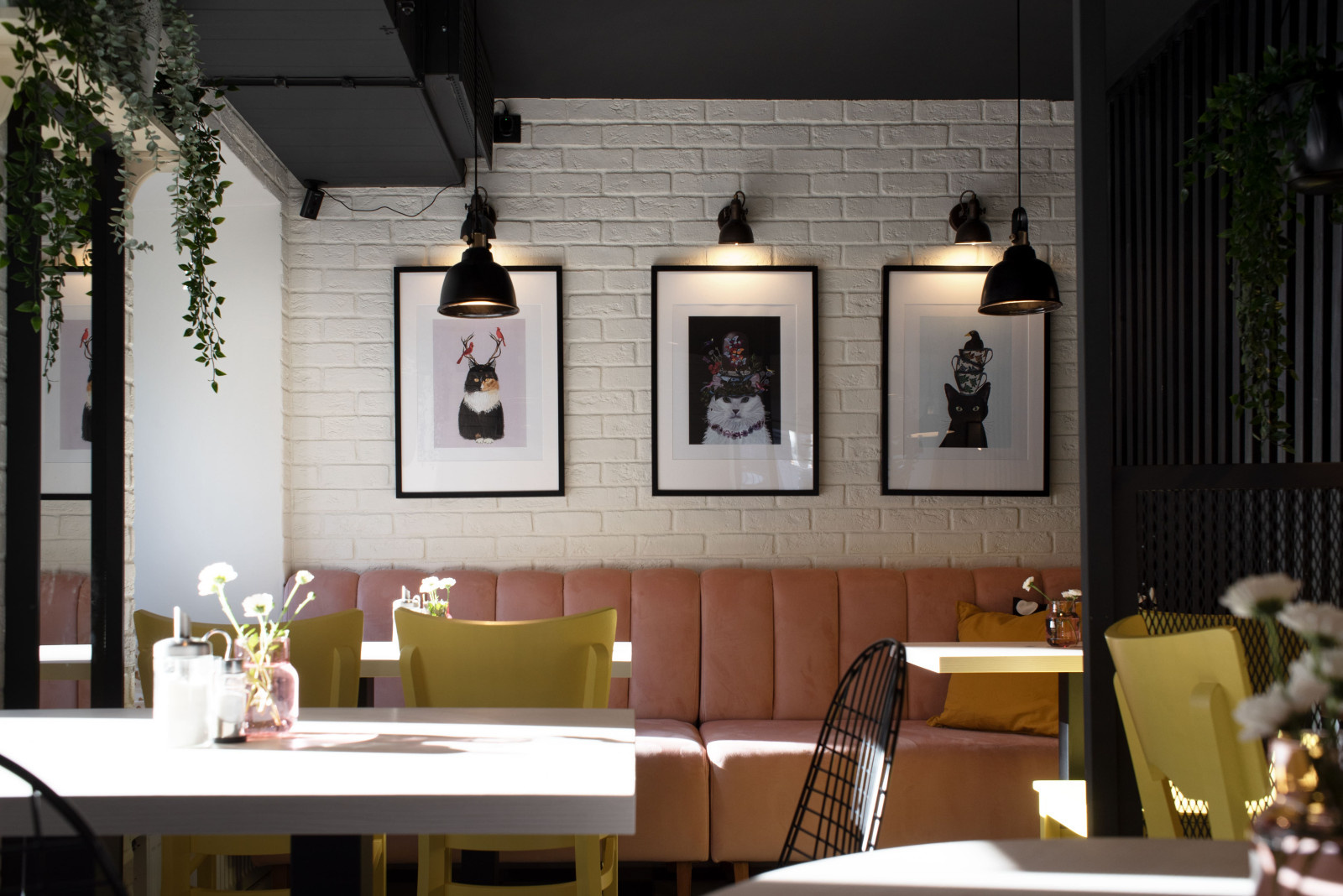 Кафе "Пирожки у кота"