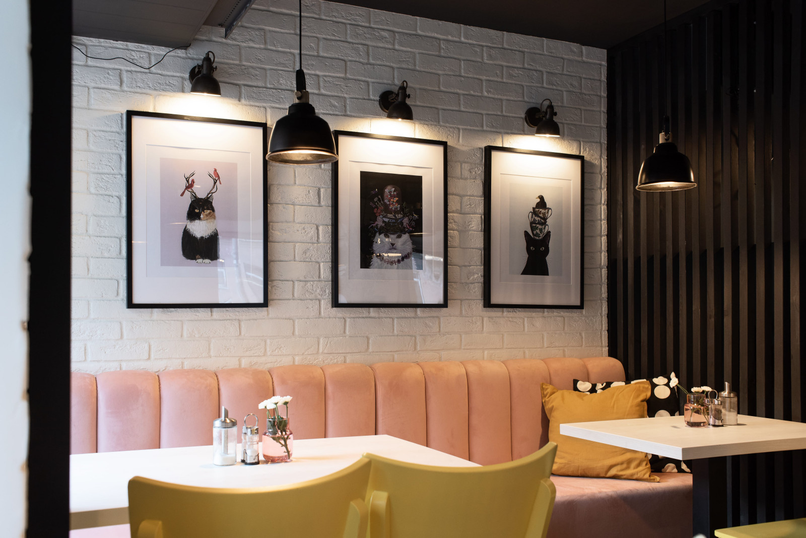 Кафе "Пирожки у кота"