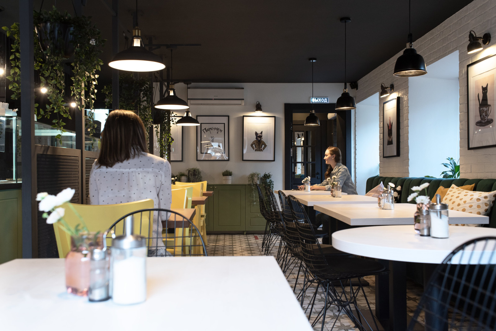 Кафе "Пирожки у кота"