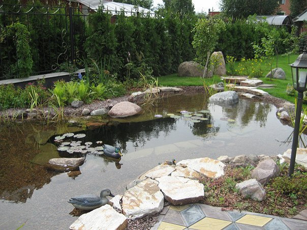 Плавательный водоём в Стрельне (ЛО)