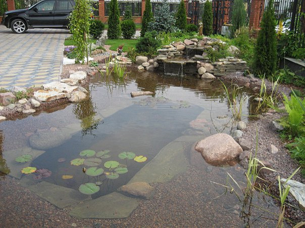 Плавательный водоём в Стрельне (ЛО)