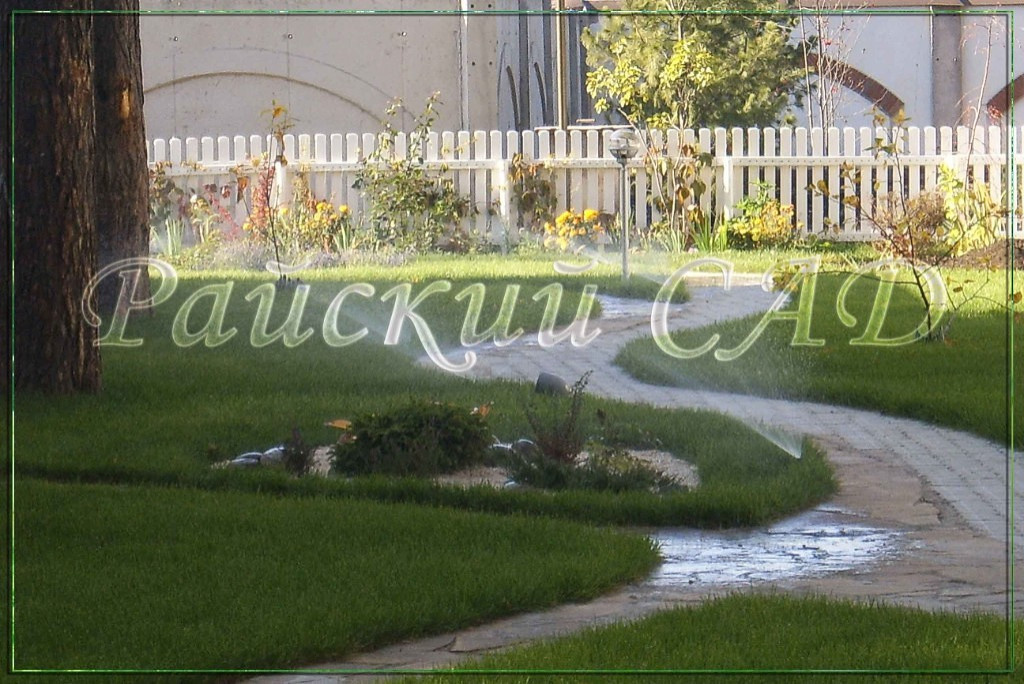 Один из участков с 10 летней историей