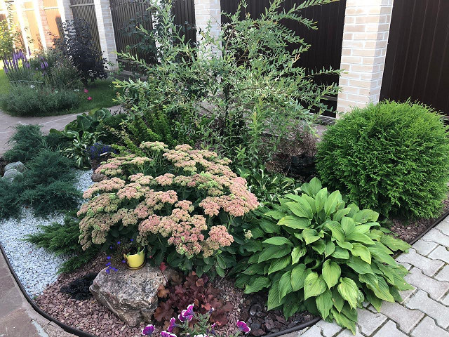 Обложка проекта: Рокарий