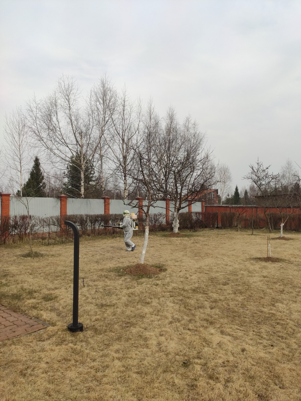 Посадки