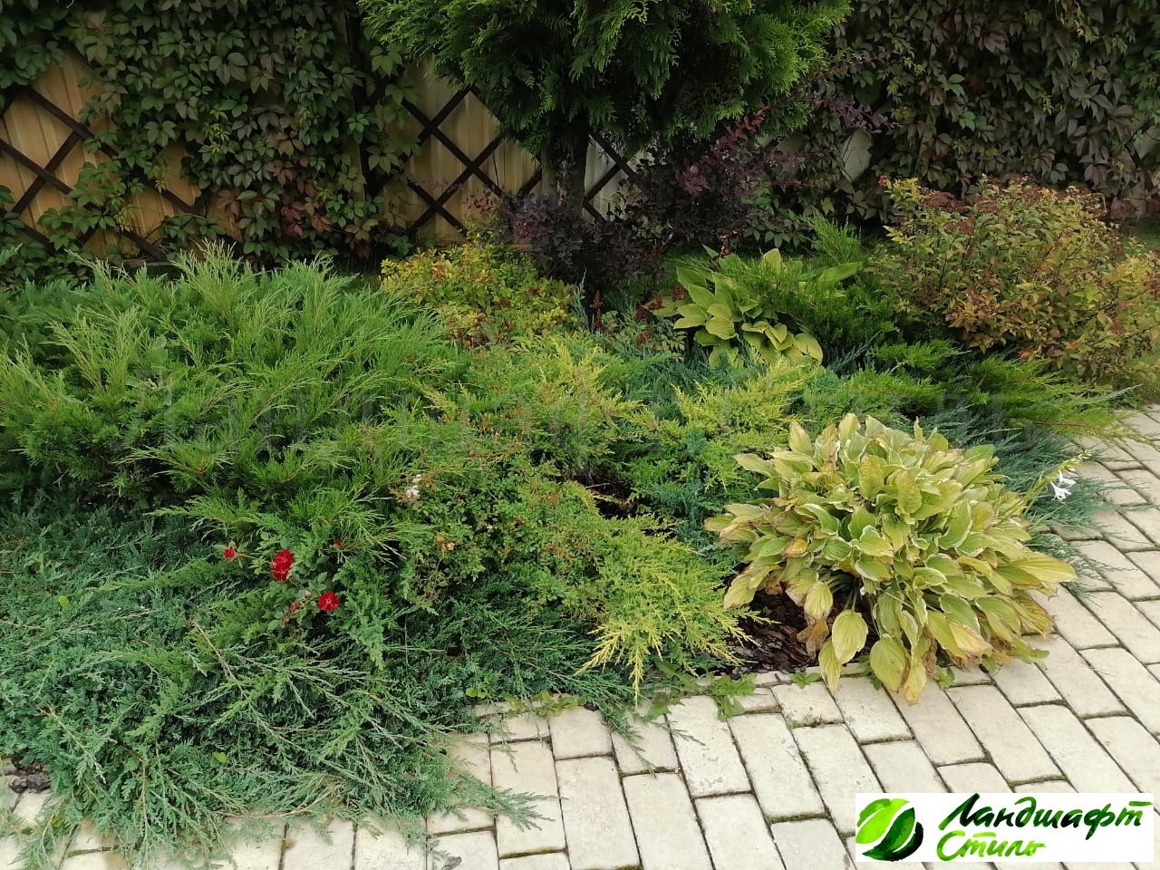 Скандинавский сад