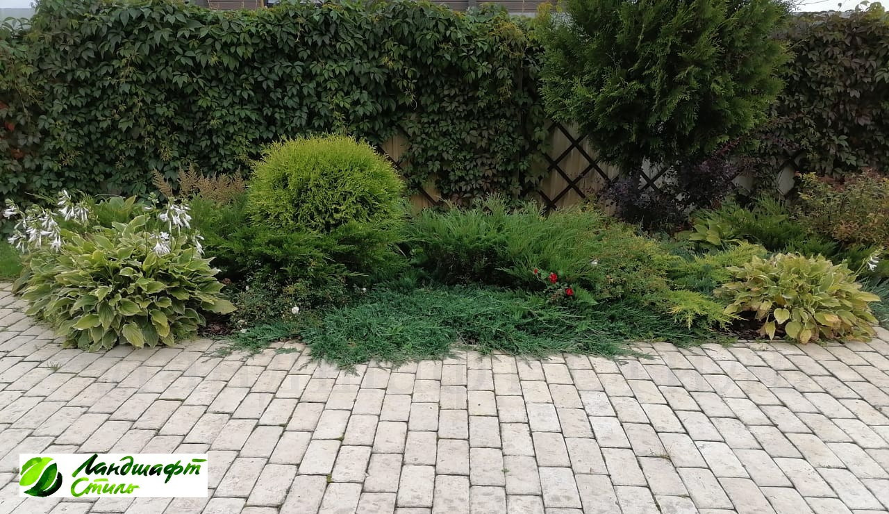 Скандинавский сад