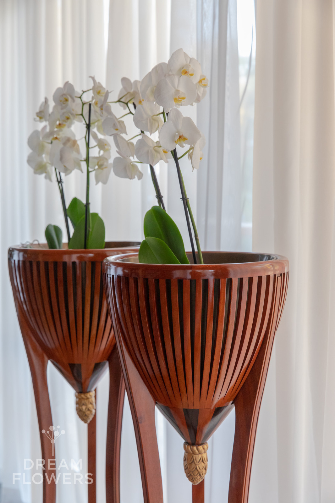 Орхидеи в кашпо