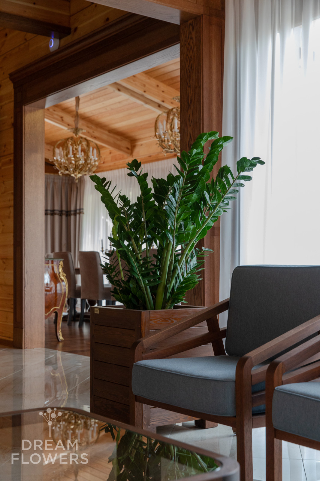 Замиакулькас в кашпо собственного производства