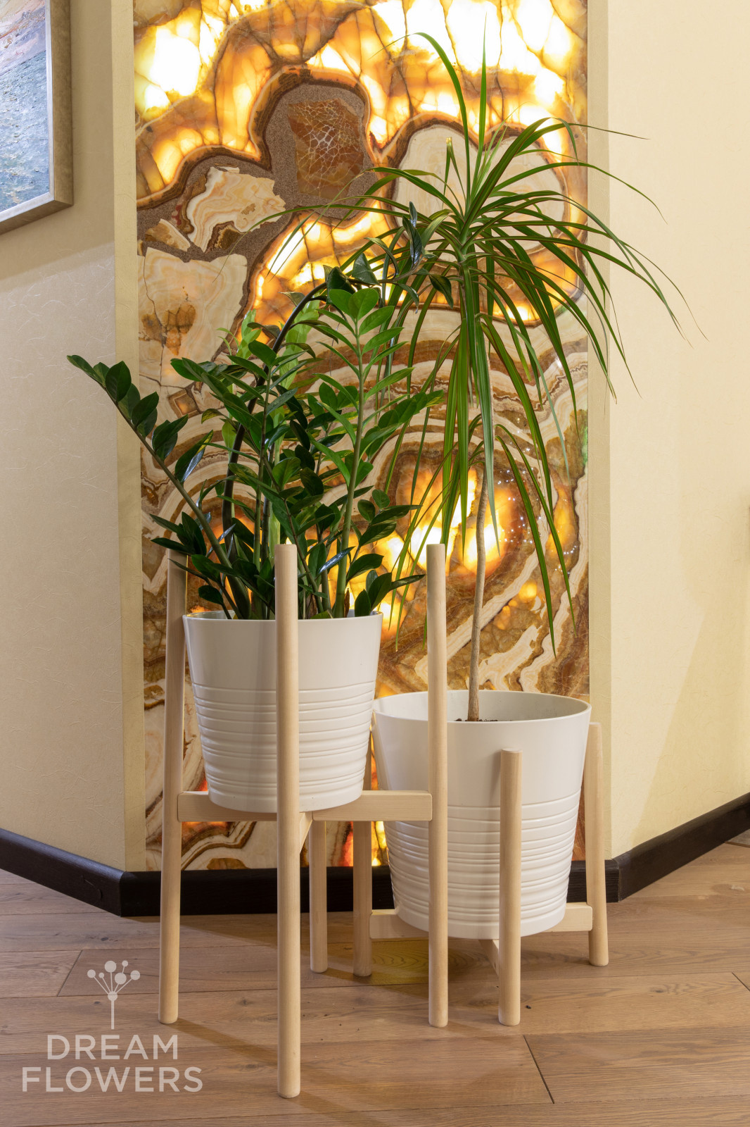 Пересадка имеющихся у заказчика растений в новые кашпо в стиле интерьера