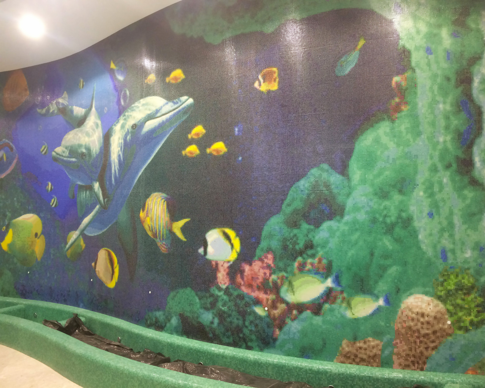 Бассейн «Дельфины»