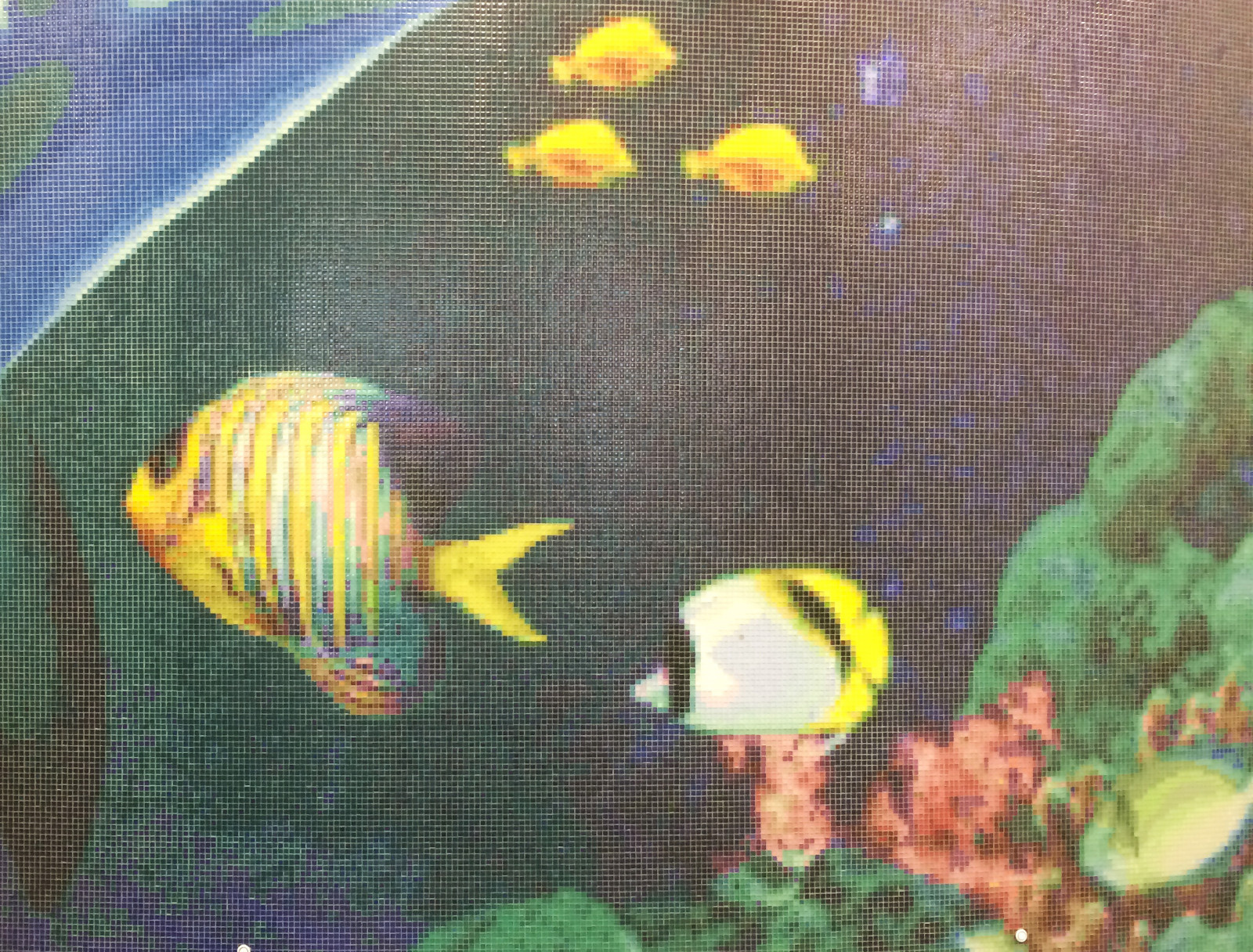 Бассейн «Дельфины»