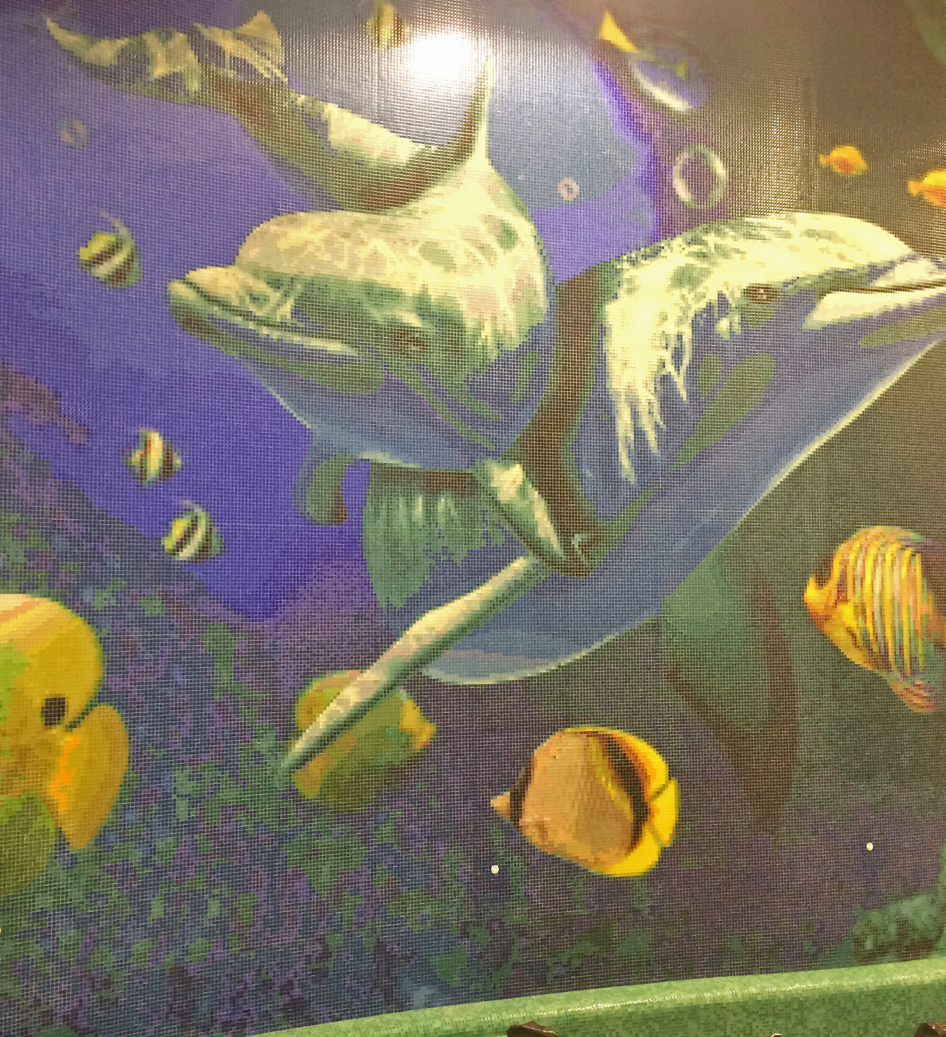 Бассейн «Дельфины»