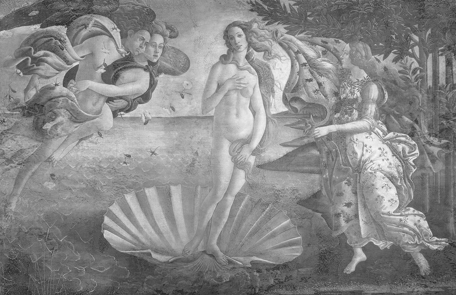 VENUS_flat