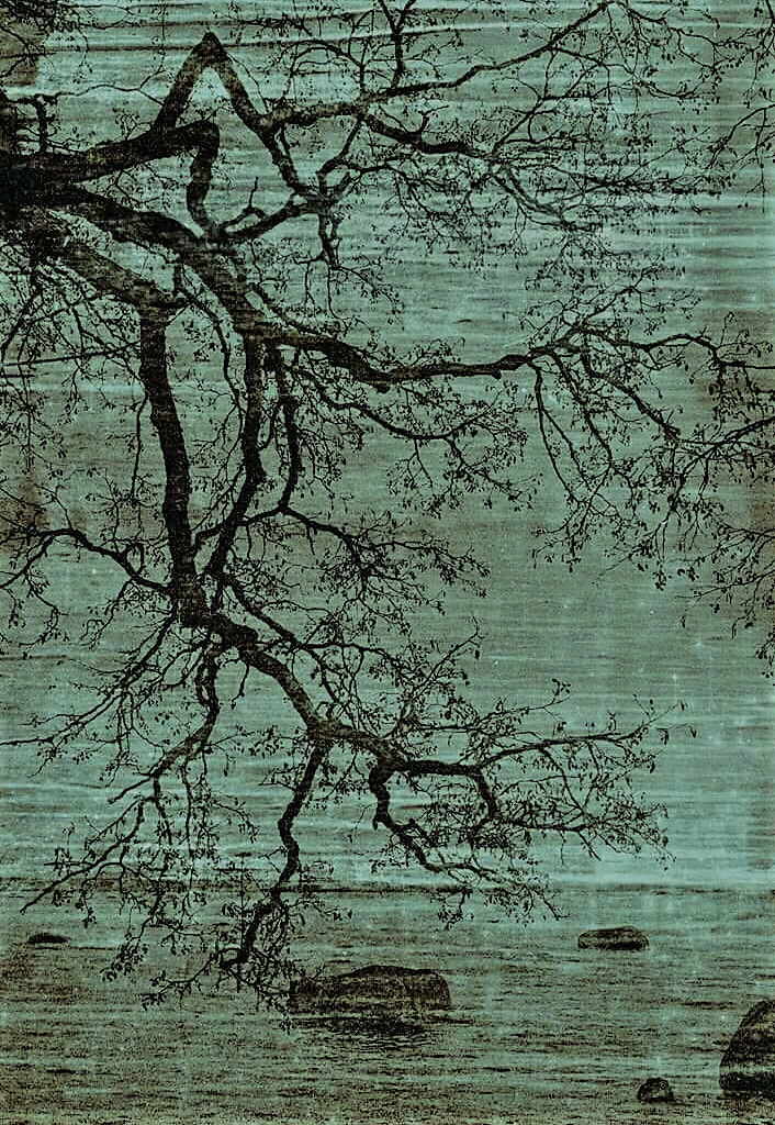 Росписи/Фотографии/Картины для интерьеров