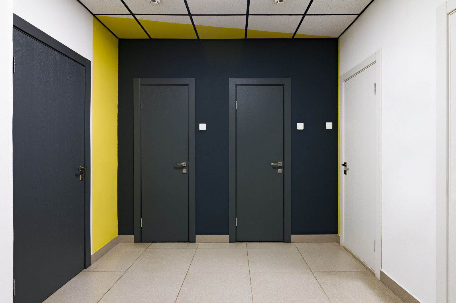 Обложка проекта: Веб-студя "FUSE8"