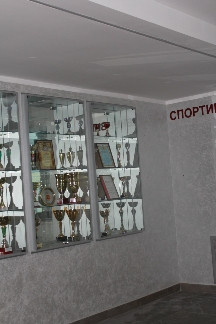 Декоративная краска BOCCA