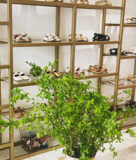 Pop-up store: Age of innocence