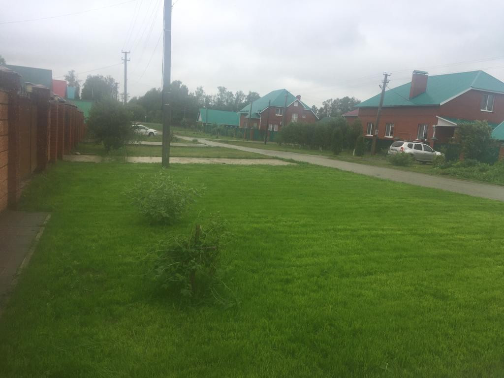 Гидропосев газона