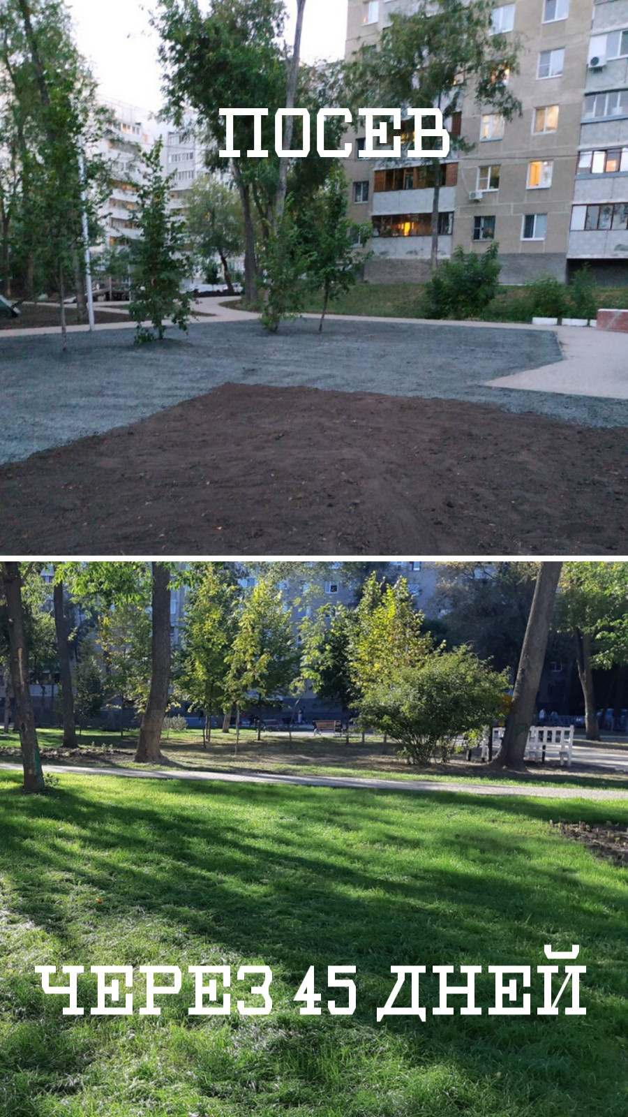 Гидропосев газона