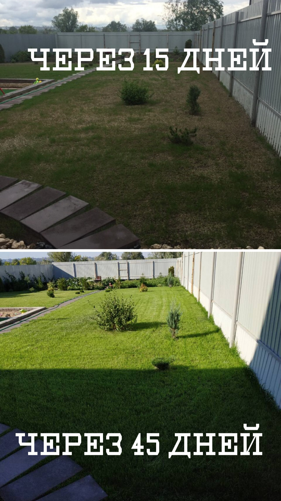 Гидропосев газона