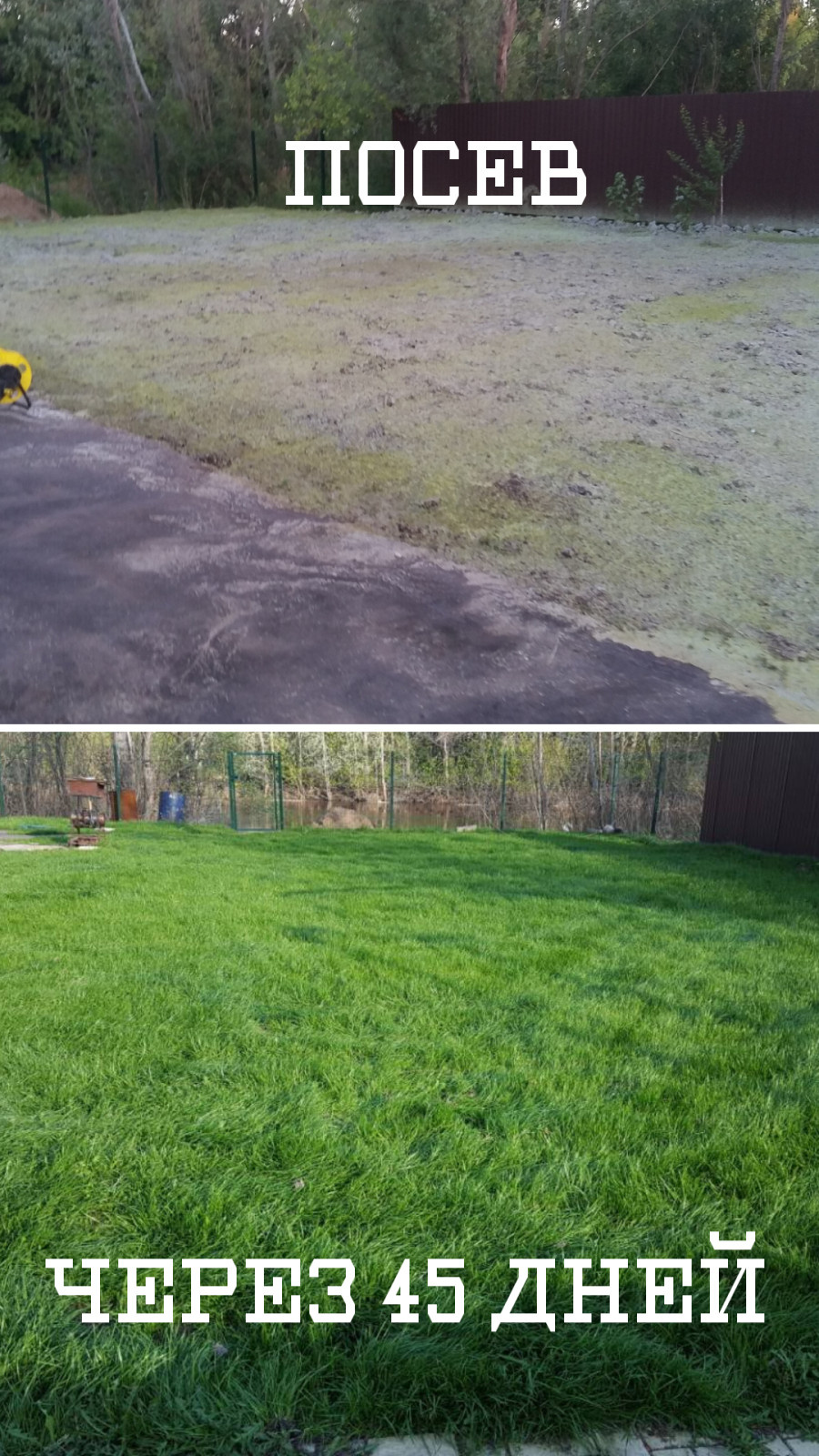 Обложка проекта: Гидропосев газона