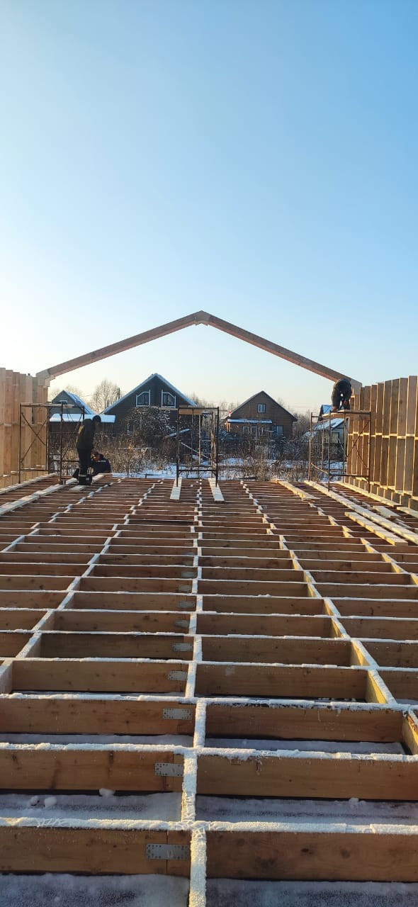 Дом у березы