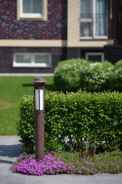 Летова роща